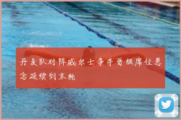 丹麦队对阵威尔士争夺晋级席位悬念延续到末轮
