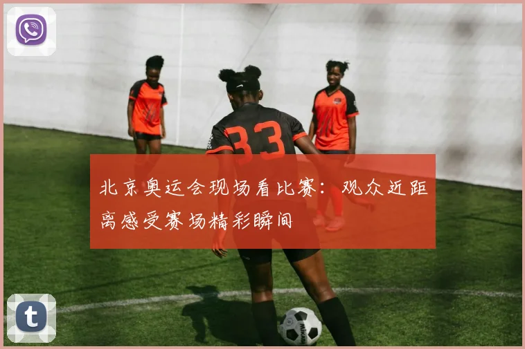 北京奥运会现场看比赛：观众近距离感受赛场精彩瞬间