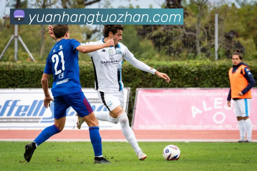 App Interface Preview